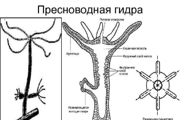 Сайт кракен официальный ссылка onion