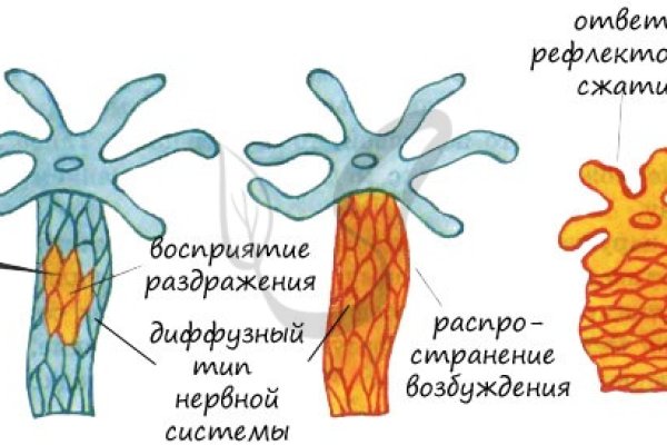 Рабочее зеркало на кракен